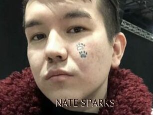 NATE_SPARKS