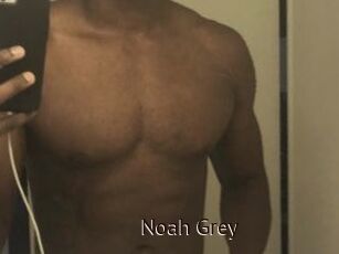 Noah_Grey