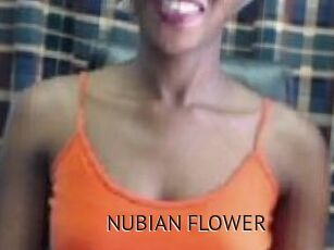 _NUBIAN_FLOWER_