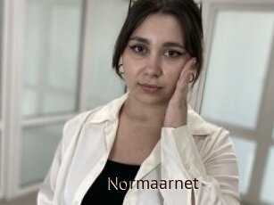 Normaarnet