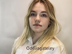 Odeliagateley