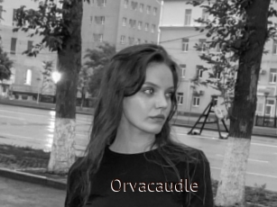 Orvacaudle