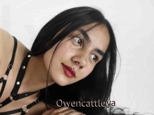 Owencattleya