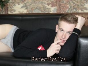 PerfectBoyToy