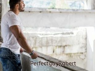 PerfectguyRobert