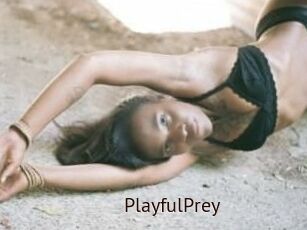 PlayfulPrey