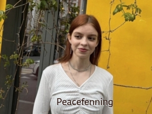 Peacefenning