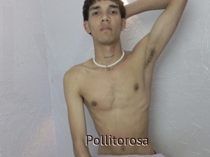 Pollitorosa