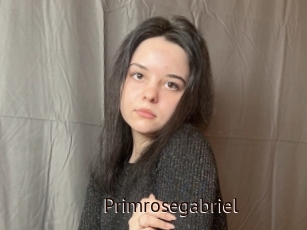 Primrosegabriel