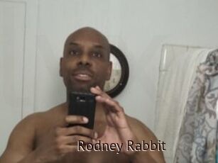 Rodney_Rabbit