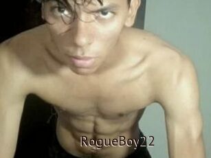 RogueBoy22