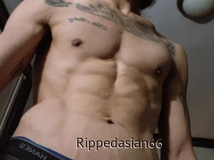 Rippedasian66