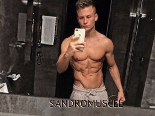 SANDRO_MUSCLE