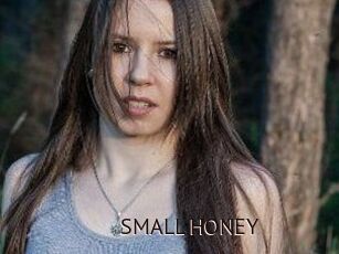 SMALL_HONEY