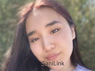 SaniLink