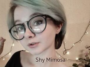 Shy_Mimosa