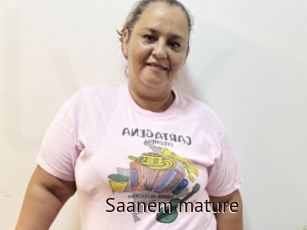 Saanem_mature