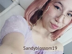 Sandyblossom19