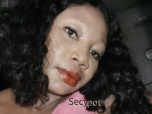 Secypot