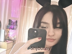 Shybunny