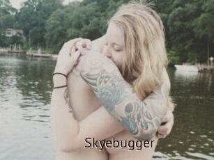 Skyebugger