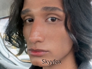 Skyyfox