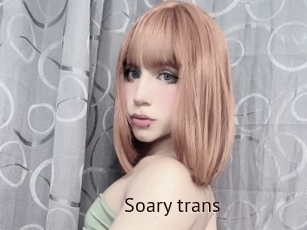 Soary_trans