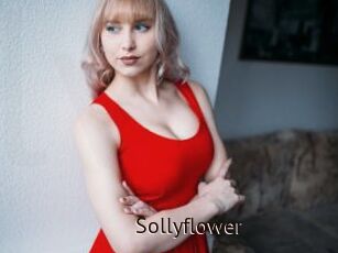 Sollyflower