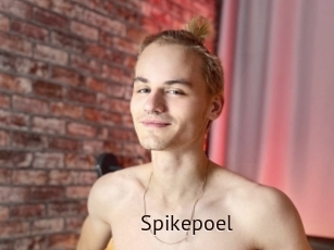 Spikepoel