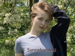 Synnebanwell