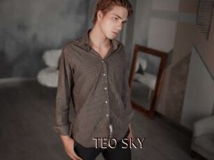 TEO_SKY