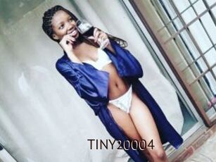 TINY20004