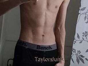 TaylorsJunk