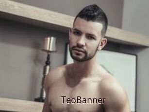 TeoBanner