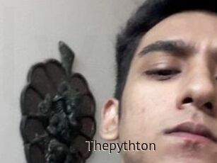 Thepythton