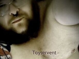 Toyservent