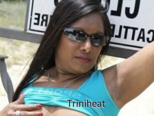 Triniheat