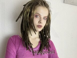 Taitegodsil