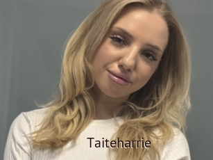 Taiteharrie