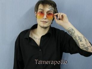 Tamerapollo