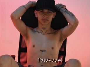 Tatevogel