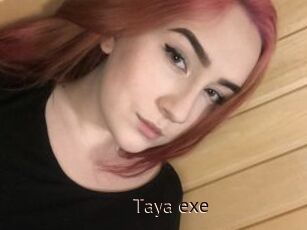 Taya_exe