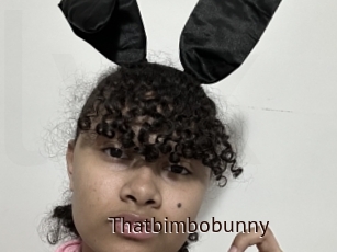 Thatbimbobunny