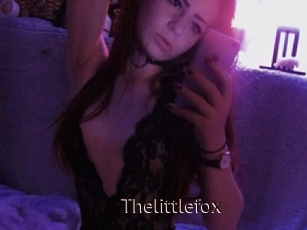 Thelittlefox