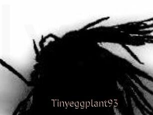 Tinyeggplant93