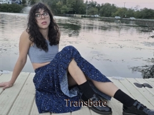 Transbate