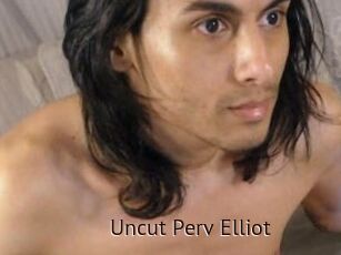 Uncut_Perv_Elliot