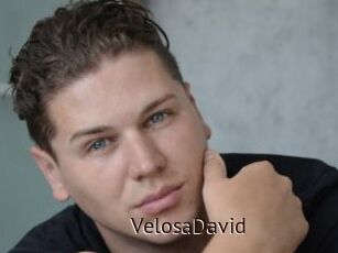 VelosaDavid