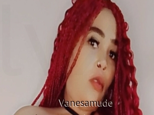 Vanesamude