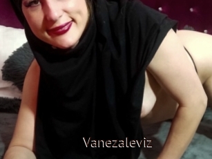 Vanezaleviz